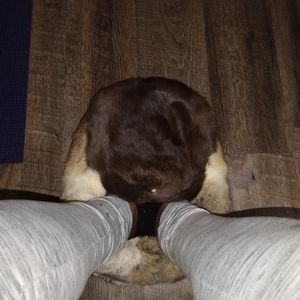 rabbit fur foot muff